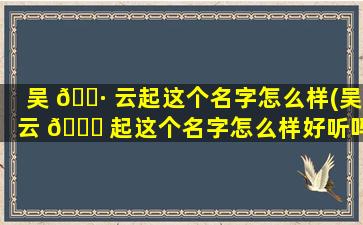 吴 🌷 云起这个名字怎么样(吴云 🐈 起这个名字怎么样好听吗)